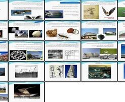 دانلود پاورپوینت دانلود مقاله الهام از طبیعت در معماری، سازه های سبک و پایدار