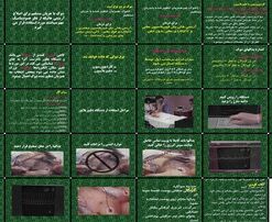 دانلود پاورپوینت دفیبریلاسیون و کاردیوورسیون اصول، روش کار، موارد استفاده و ملاحظات ایمنی