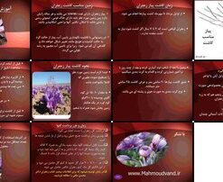دانلود پاورپوینت راهنمای جامع کاشت زعفران