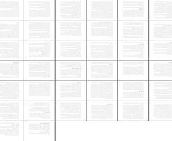 رستاخیز ایرانی در عصر سلجوقیان معماری، فرهنگ و علم