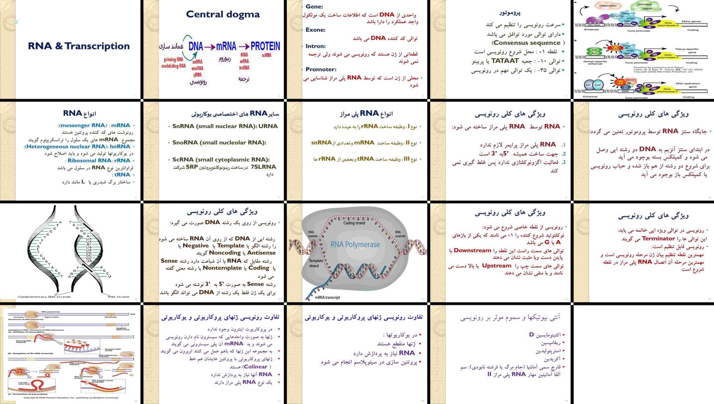 دانلود پاورپوینت رونویسی RNA از اصول پایه تا تفاوت‌های پروکاریوتی و یوکاریوتی
