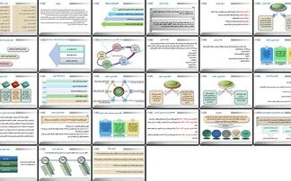 سازمان تئوری، ساختار، ابعاد و مدیریت