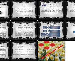 دانلود پاورپوینت سازمان یادگیرنده تعریف، ویژگی‌ها، مدل‌ها و استراتژی‌های کلیدی برای موفقیت در تجا