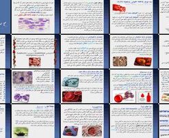 دانلود پاورپوینت سرطان خون (لوسمی) علل، انواع، تشخیص، علائم، درمان‌ها و آخرین یافته‌ها