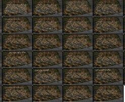 سیب زمینی گیاهشناسی، اهمیت اقتصادی، ارزش غذایی، کاربردها و شرایط آب و