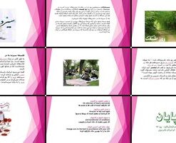 دانلود پاورپوینت سیزده بدر تاریخچه، فلسفه، آداب و رسوم روز طبیعت در ایران