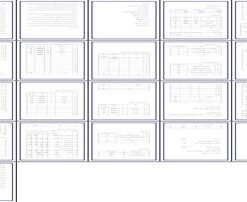 طرح توجیهی پرواربندی جوجه شترمرغ