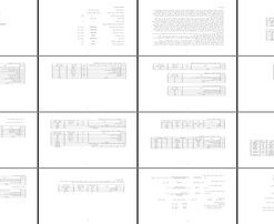 طرح توجیهی پرورش اردک مادر
