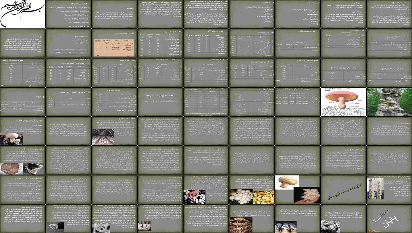 دانلود پاورپوینت طرح توجیهی پرورش قارچ خوراکی 50 تنی بررسی سرمایه گذاری، هزینه ها،