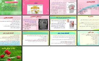 دانلود پاورپوینت فتق دیافراگماتیک مادرزادی (CDH) علائم، تشخیص، درمان جراحی و مراقبت پرستاری نوزاد