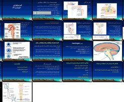 دانلود پاورپوینت فیزیولوژی اعصاب انتقال سیناپسی، قشر حرکتی، مسیرهای حرکتی، ساقه مغز، سیستم عصبی