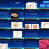 دانلود پاورپوینت فیزیولوژی اعصاب عناصر سلولی، سیستم عصبی محیطی و مرکزی، سیستم حسی و