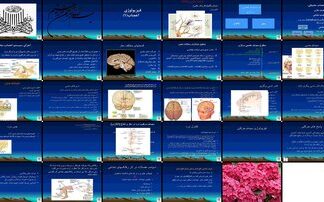 دانلود پاورپوینت فیزیولوژی اعصاب عناصر سلولی، سیستم عصبی محیطی و مرکزی، سیستم حسی و