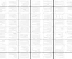 لاستیک پیدایش، توسعه، فناوری و چالش‌ها