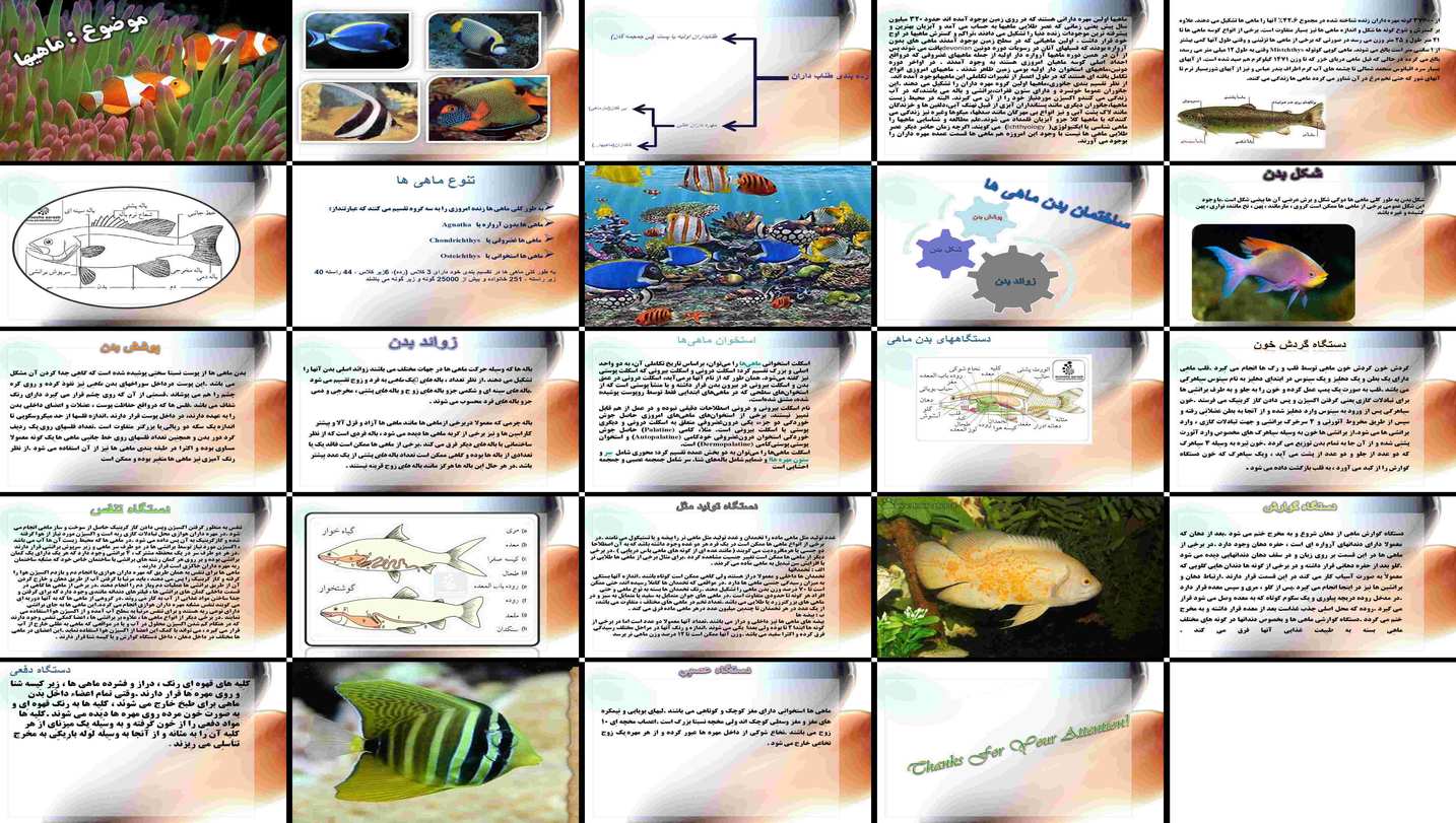 ماهی‌ها طبقه‌بندی، ریخت‌شناسی، ساختار و دستگاه‌های بدن