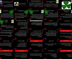 مدل‌های سازمانی شبدری، فدرال، سه آی، دوناتی، ضربانی، دوچهره، شطرنجی، کمیسری و