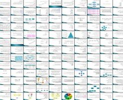 مدیریت رفتار سازمانی مفاهیم، اهداف و مبانی رفتار فردی در سازمان