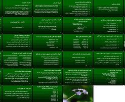 دانلود پاورپوینت مدیریت و رهبری منابع انسانی در سازمان