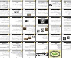 دانلود پاورپوینت مدیریت، بوروکراسی و ساختارگرایی از حدیث تا نظریه‌های نوین