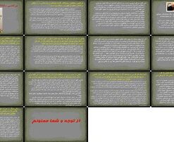 مرتضی سلطانی از کودکی سخت تا کارآفرینی و بنیانگذاری زر ماکارون