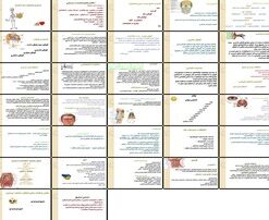 معاینه سر، گردن، گوش، حلق و بینی آناتومی، روش‌ها و اختلالات