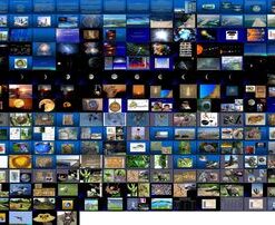 معماری بیونیک الهام از طبیعت در طراحی ساختمان‌ها و سازه‌ها