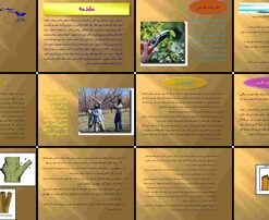 هرس درختان میوه اصول، فواید و روش‌ها