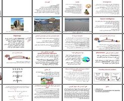 دانلود پاورپوینت هوشمندی توده‌ای از طبیعت تا کاربردهای بهینه‌سازی