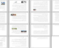 والت دیزنی کارآفرینی، نوآوری و میراث ماندگار