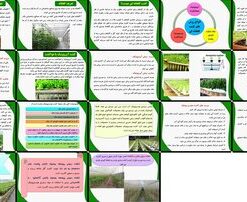 گلخانه و روش‌های کشت بررسی و تحلیل کشت‌های خاکی، هیدروپونیک و آیروپونیک