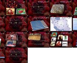 دانلود پاورپوینت گیاه شناسی، ارزش غذایی، مناطق تولید، برداشت، نگهداری و فرآورده های انار