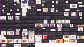 دانلود پروژه بررسی آناتومی بدن انسان سلول بافت اصطلاحات صفحات سیستم‌ها و دستگاه‌ها