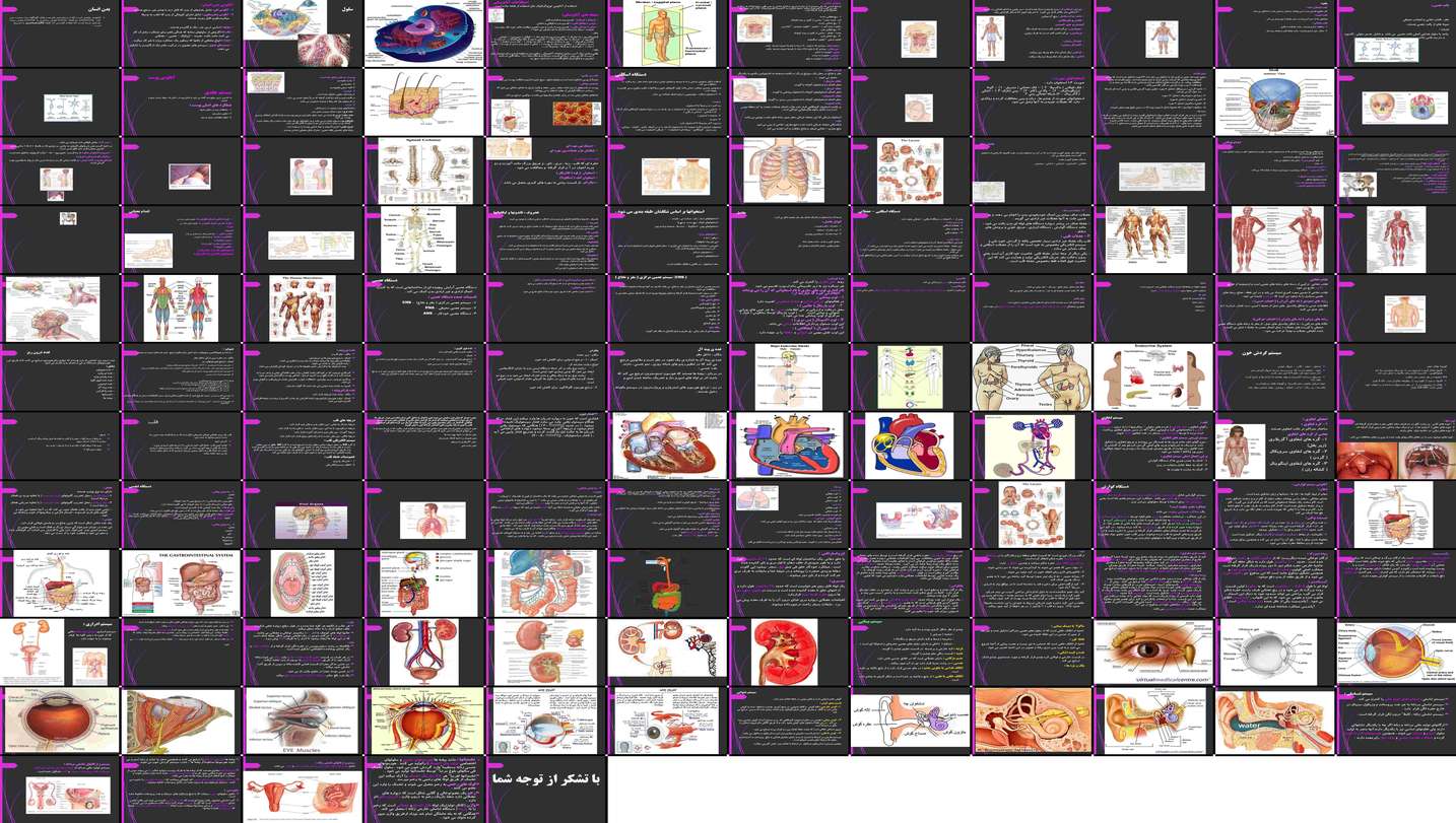 دانلود پروژه بررسی آناتومی بدن انسان سلول بافت اصطلاحات صفحات سیستم‌ها و دستگاه‌ها