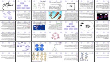 دانلود پروژه بررسی انواع تقسیم سلولی و سازمان‌یافتگی کروموزوم‌ها