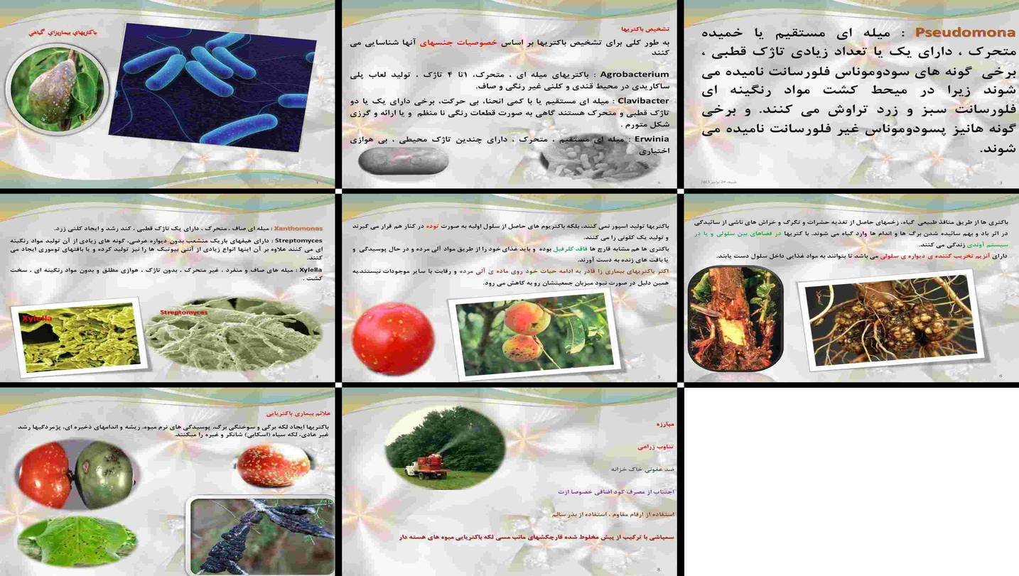 دانلود پروژه بررسی باکتری‌های بیماری‌زای گیاهی تشخیص ویژگی‌ها و کنترل