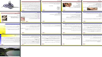 دانلود پروژه بررسی تاثیر ماساژ بر عملکرد ورزشی و ریکاوری عضلات