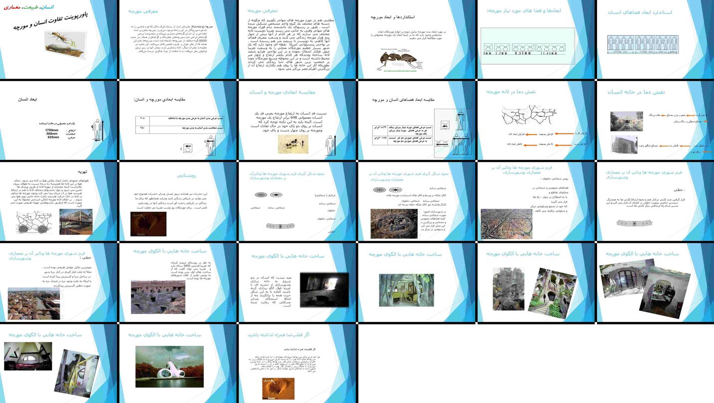 دانلود پروژه بررسی تطبیقی معماری و شهرسازی مورچگان و تاثیر آن بر انسان