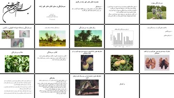 دانلود پروژه بررسی تنش‌های غیرزنده سرما آفتاب و باد در گردو