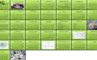 دانلود پروژه بررسی خانواده مفاهیم سلامت و رویکردهای پرستاری با ابزارهای ارزیابی