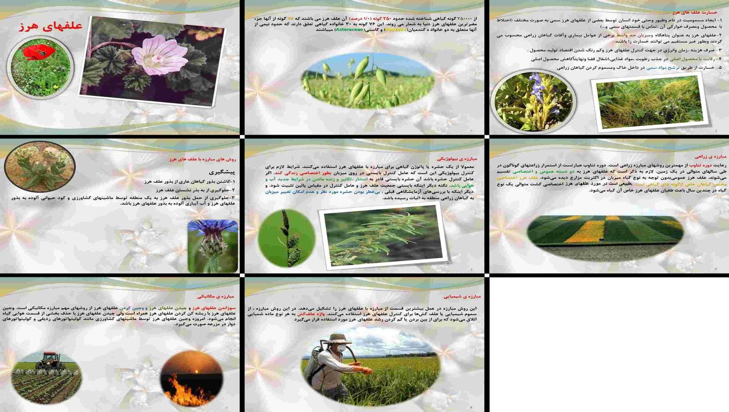 دانلود پروژه بررسی روش‌های مبارزه و تاثیر علف‌های هرز بر گیاهان زراعی