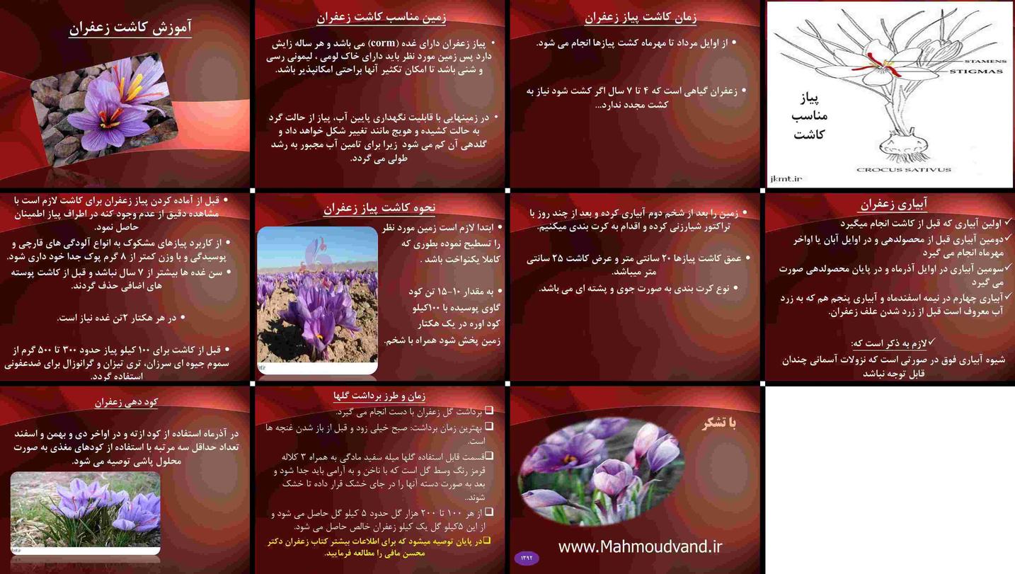 دانلود پروژه بررسی روش‌های کاشت داشت برداشت و کوددهی زعفران