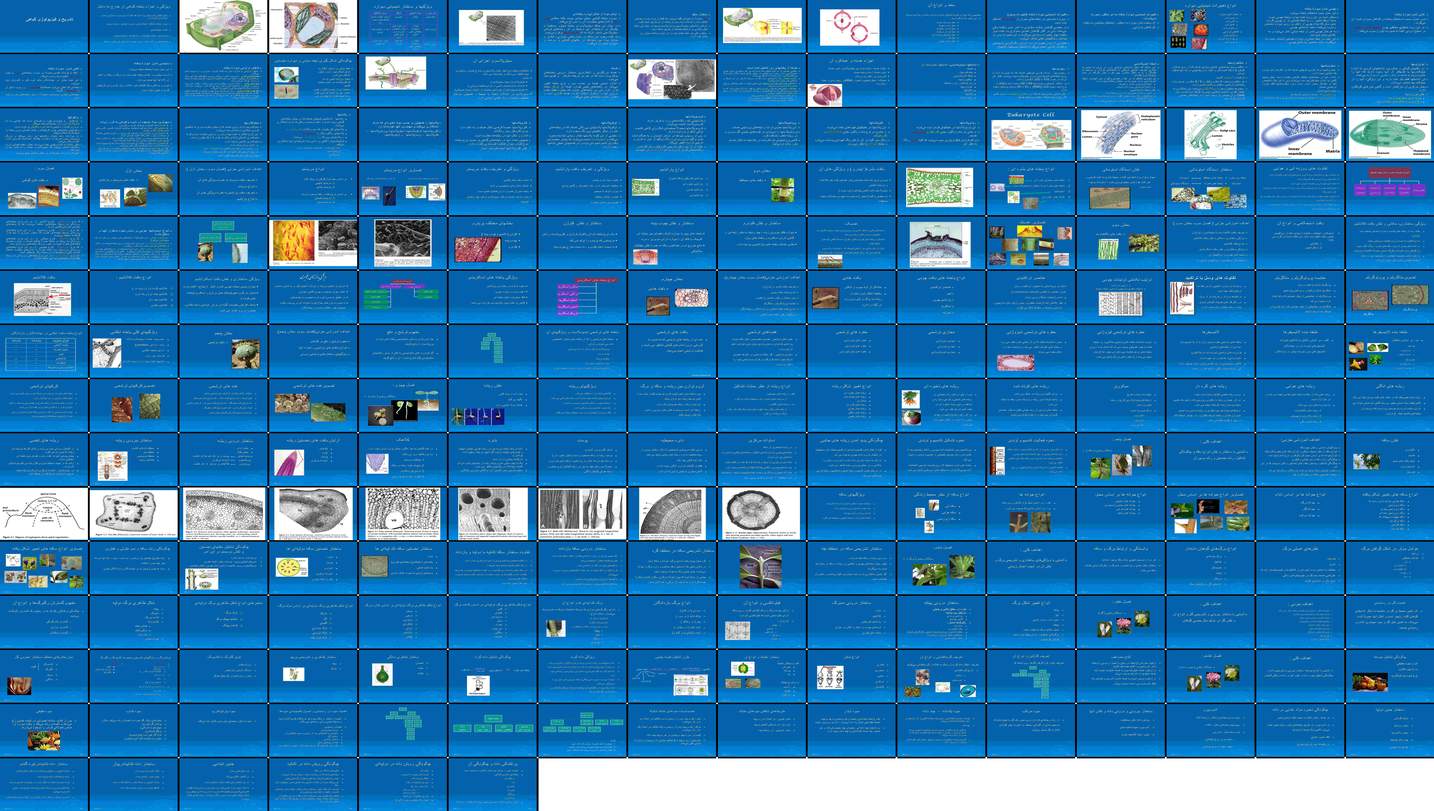دانلود پروژه بررسی ساختار ویژگی‌ها و تغییرات شیمیایی دیواره یاخته گیاهی و اجزاء آن