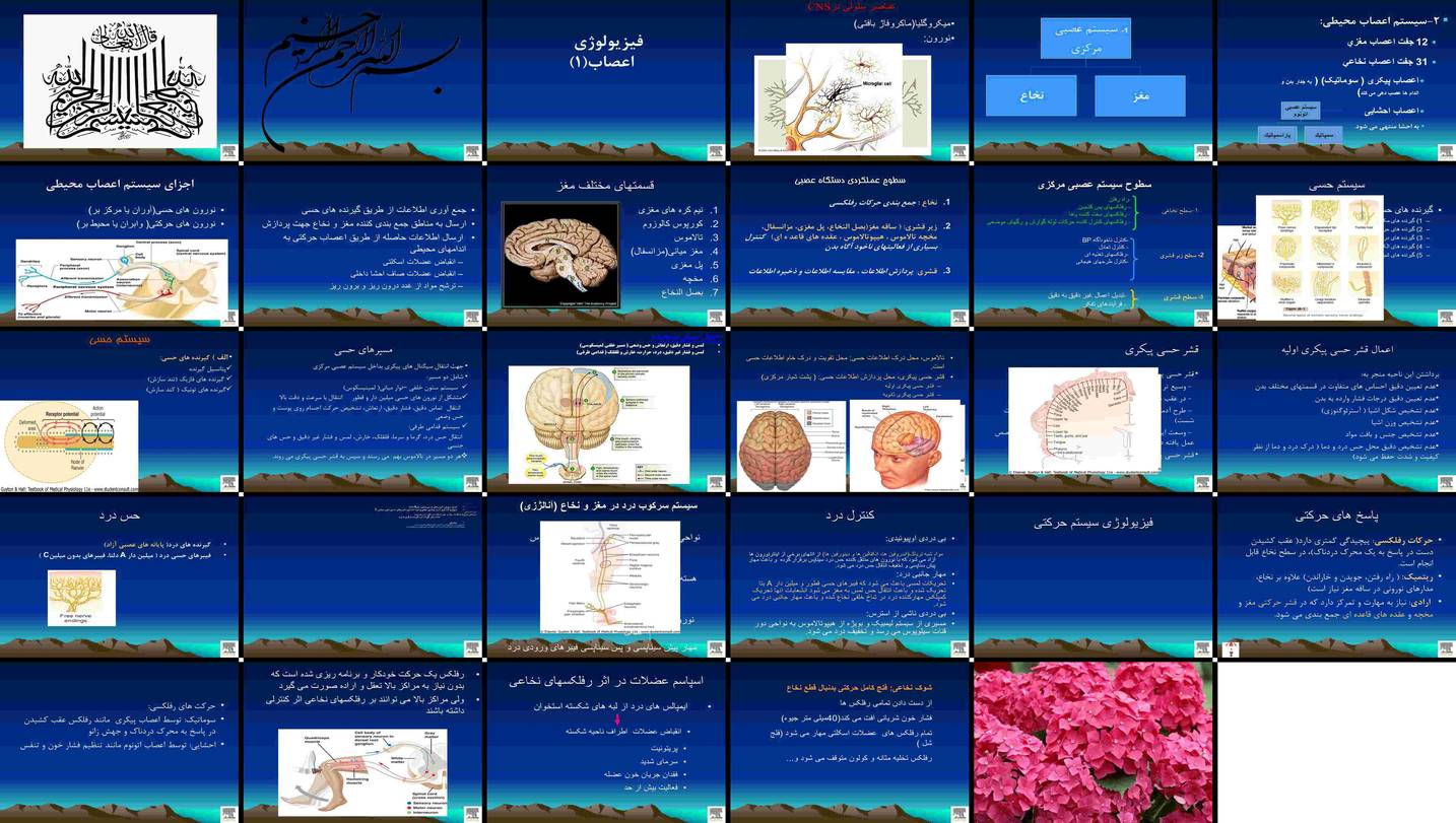 دانلود پروژه بررسی فیزیولوژی اعصاب سازماندهی سیستم حسی و حرکتی