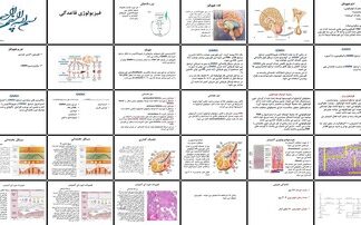 دانلود پروژه بررسی فیزیولوژی و تنظیم هورمونی چرخه قاعدگی نقش هیپوتالاموسهیپوفیزتخمدان