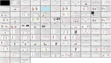 دانلود پروژه بررسی نقش اعصاب مدیان اولنار رادیال و عضلات دست در عملکرد