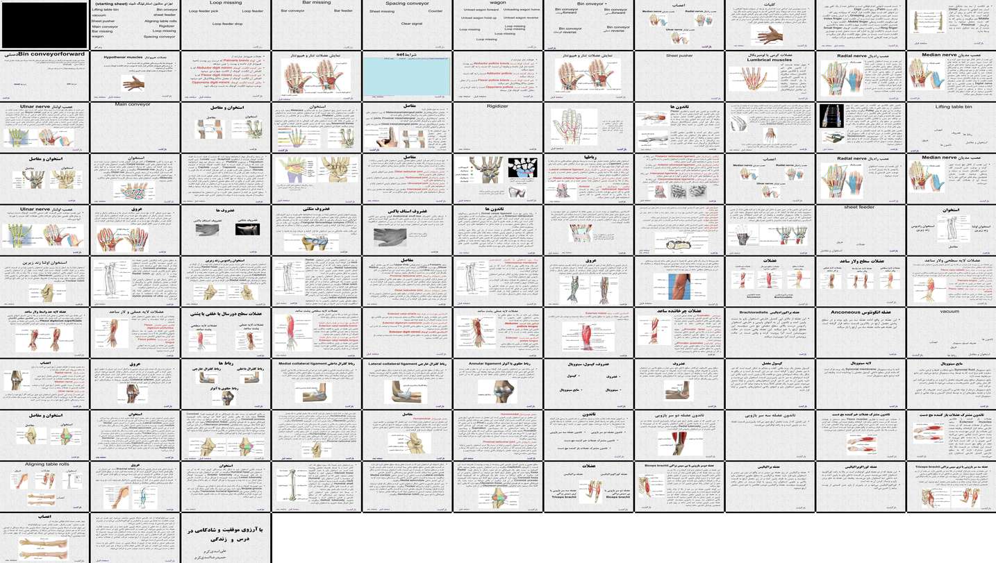 دانلود پروژه بررسی نقش اعصاب مدیان اولنار رادیال و عضلات دست در عملکرد
