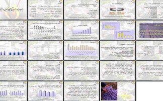 دانلود پروژه بررسی نقش عوامل موثر بر تولید و کیفیت زعفران در ایران