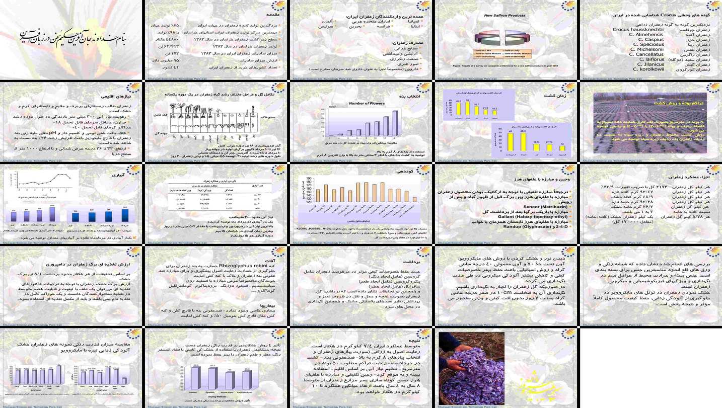 دانلود پروژه بررسی نقش عوامل موثر بر تولید و کیفیت زعفران در ایران