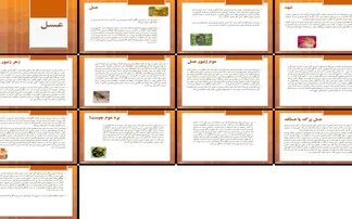 دانلود پروژه بررسی نقش و تاثیر عسل شهد زهر موم و بره موم زنبور