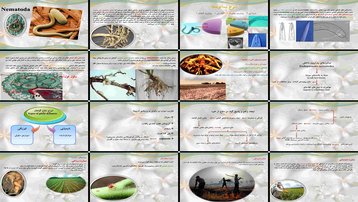 دانلود پروژه بررسی نقش و تاثیر نماتدها در گیاهان و روش‌های مبارزه با آنها